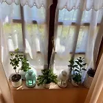 Appartement Fodor Haz *
