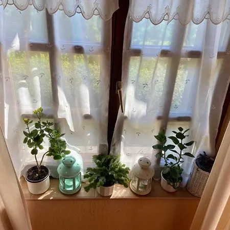 Διαμέρισμα Fodor Haz *