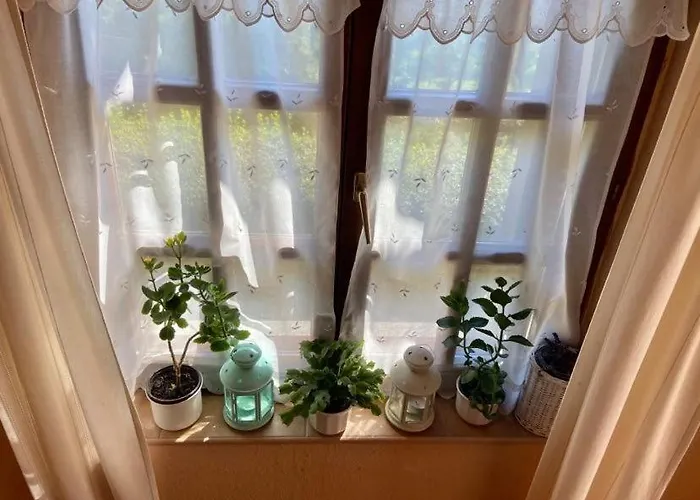 Apartament Fodor Haz *